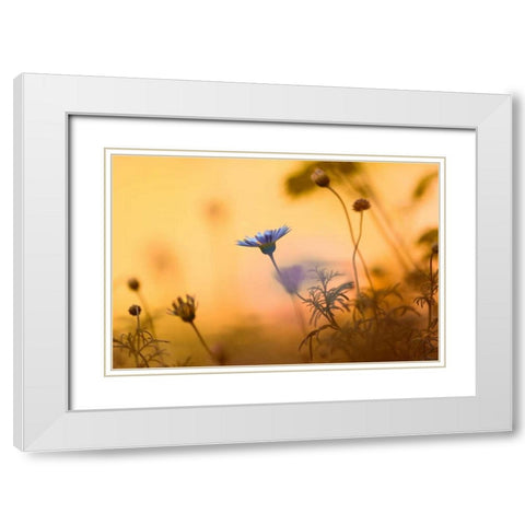 Moments of summer White Modern Wood Framed Art Print with Double Matting by Riedt, Kirsten