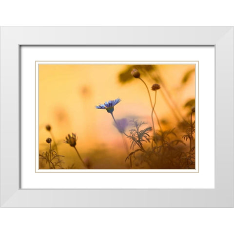Moments of summer White Modern Wood Framed Art Print with Double Matting by Riedt, Kirsten