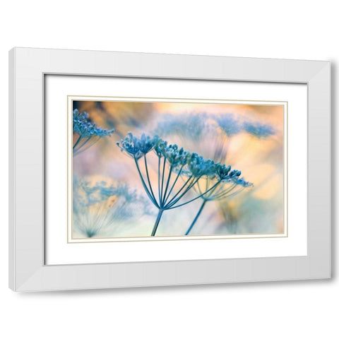 Summer dreams II White Modern Wood Framed Art Print with Double Matting by Riedt, Kirsten