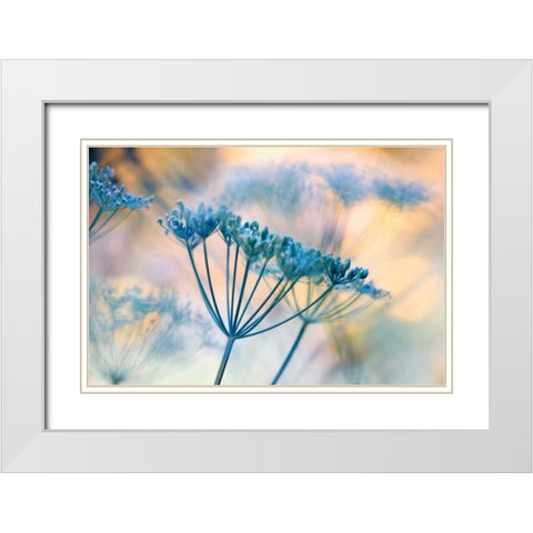 Summer dreams II White Modern Wood Framed Art Print with Double Matting by Riedt, Kirsten