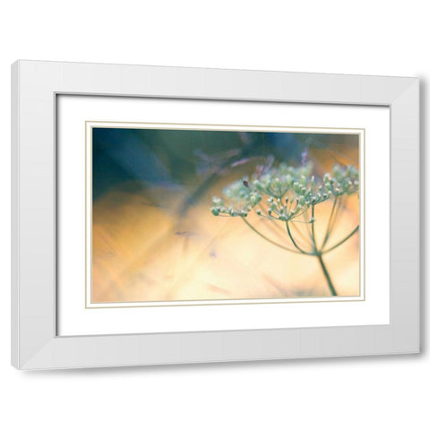 Summer dreams I White Modern Wood Framed Art Print with Double Matting by Riedt, Kirsten