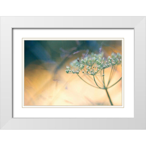 Summer dreams I White Modern Wood Framed Art Print with Double Matting by Riedt, Kirsten