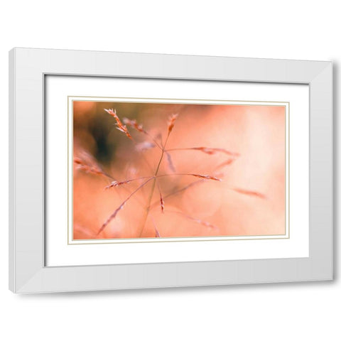 Wild summer I White Modern Wood Framed Art Print with Double Matting by Riedt, Kirsten