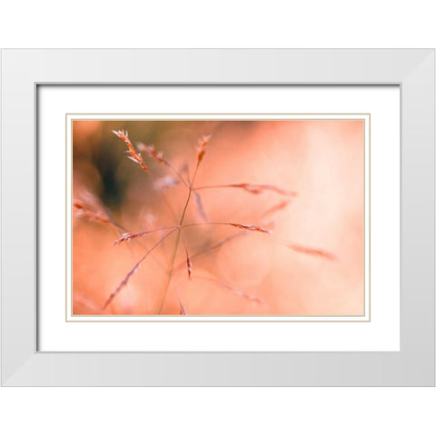 Wild summer I White Modern Wood Framed Art Print with Double Matting by Riedt, Kirsten