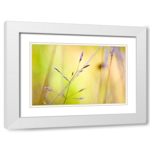 Wild summer II White Modern Wood Framed Art Print with Double Matting by Riedt, Kirsten