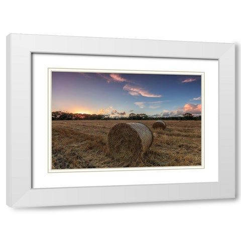 Herbst im Norden White Modern Wood Framed Art Print with Double Matting by Scholz, Markus