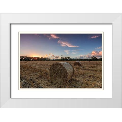 Herbst im Norden White Modern Wood Framed Art Print with Double Matting by Scholz, Markus