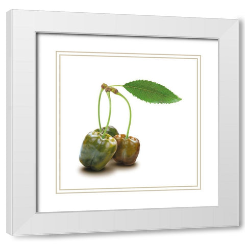 Papkische White Modern Wood Framed Art Print with Double Matting by Broszius, Michael