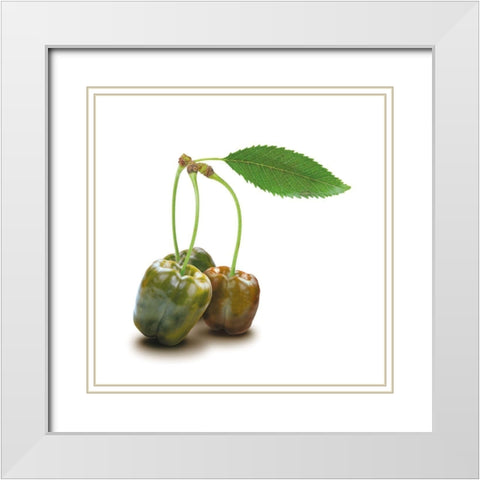 Papkische White Modern Wood Framed Art Print with Double Matting by Broszius, Michael