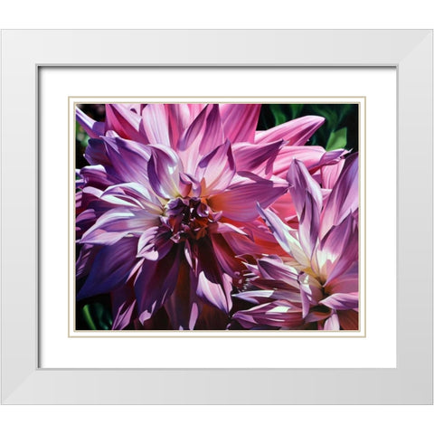 Dueling Dahlias White Modern Wood Framed Art Print with Double Matting by Schuh, Michael