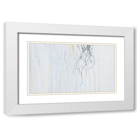 Radici 3  White Modern Wood Framed Art Print with Double Matting by Capogrosso, Pietro