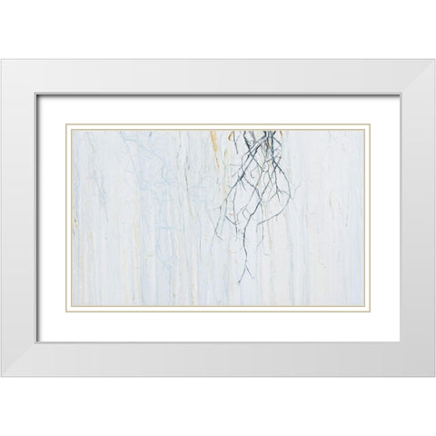 Radici 3  White Modern Wood Framed Art Print with Double Matting by Capogrosso, Pietro