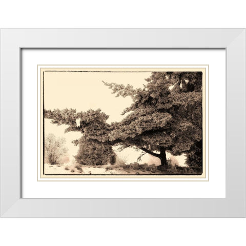 Hoar Frost Montana White Modern Wood Framed Art Print with Double Matting by Stalowy, John