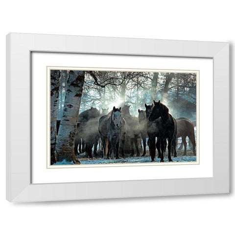 Horses in the Mist White Modern Wood Framed Art Print with Double Matting by Stalowy, John