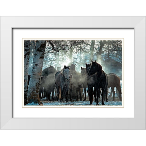 Horses in the Mist White Modern Wood Framed Art Print with Double Matting by Stalowy, John