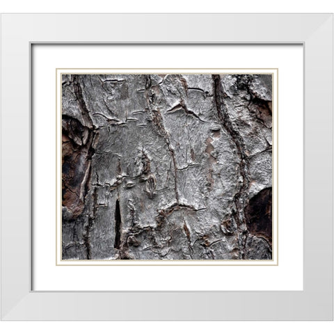 Tree Bark White Modern Wood Framed Art Print with Double Matting by Stalowy, John