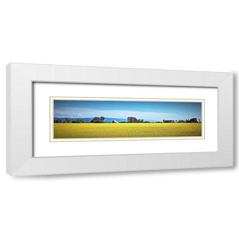 Canola Fields White Modern Wood Framed Art Print with Double Matting by Stalowy, John