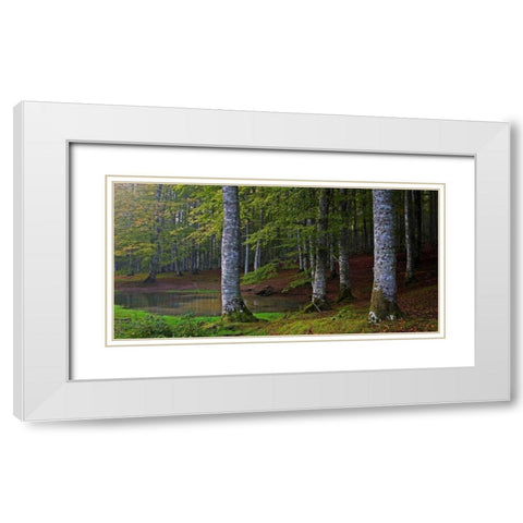 Forest 801 White Modern Wood Framed Art Print with Double Matting by Palacios, J.A.