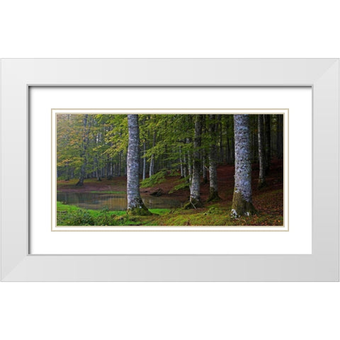 Forest 801 White Modern Wood Framed Art Print with Double Matting by Palacios, J.A.