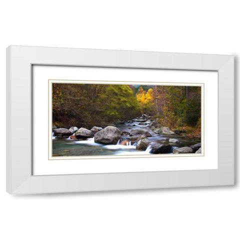 Forest and river 802 White Modern Wood Framed Art Print with Double Matting by Palacios, J.A.