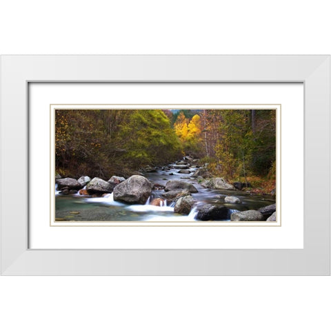 Forest and river 802 White Modern Wood Framed Art Print with Double Matting by Palacios, J.A.