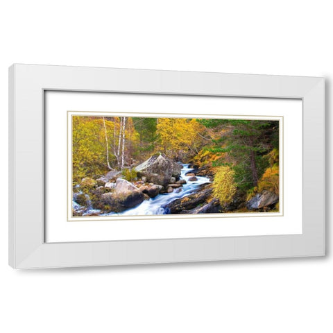 Forest and river 803 White Modern Wood Framed Art Print with Double Matting by Palacios, J.A.