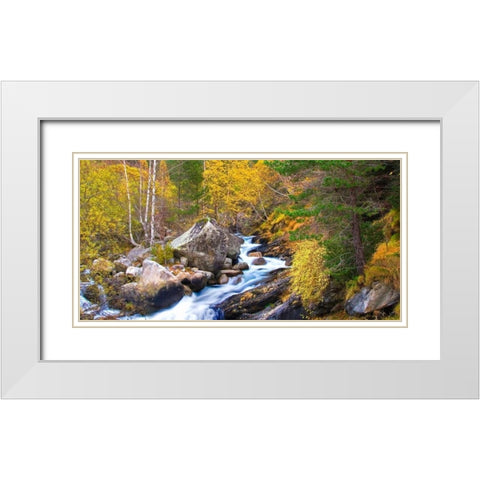 Forest and river 803 White Modern Wood Framed Art Print with Double Matting by Palacios, J.A.