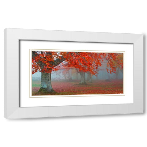 Red forest 804 White Modern Wood Framed Art Print with Double Matting by Palacios, J.A.