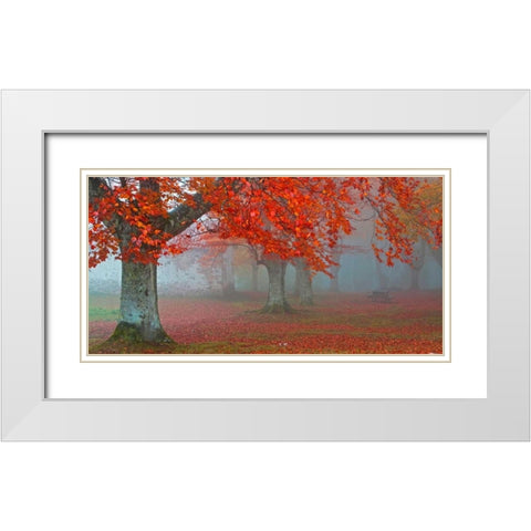 Red forest 804 White Modern Wood Framed Art Print with Double Matting by Palacios, J.A.
