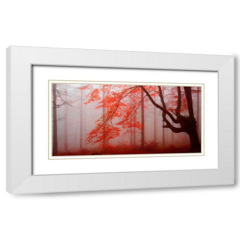 Red forest 807 White Modern Wood Framed Art Print with Double Matting by Palacios, J.A.