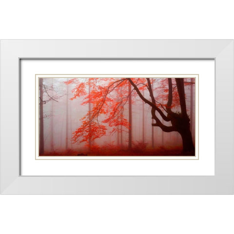 Red forest 807 White Modern Wood Framed Art Print with Double Matting by Palacios, J.A.