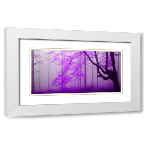 Lilac forest 808 White Modern Wood Framed Art Print with Double Matting by Palacios, J.A.