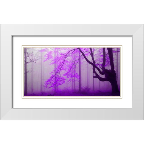 Lilac forest 808 White Modern Wood Framed Art Print with Double Matting by Palacios, J.A.