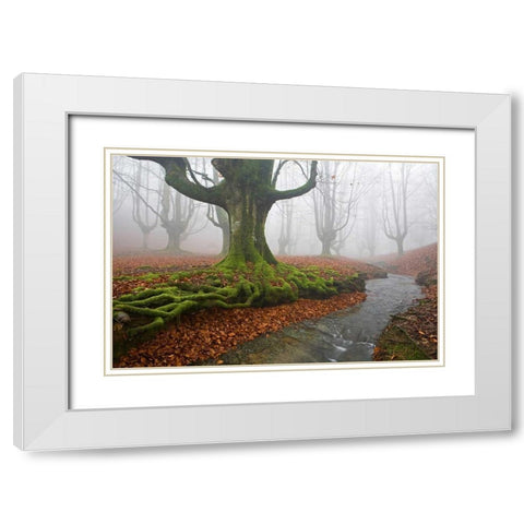 Forest 817 White Modern Wood Framed Art Print with Double Matting by Palacios, J.A.