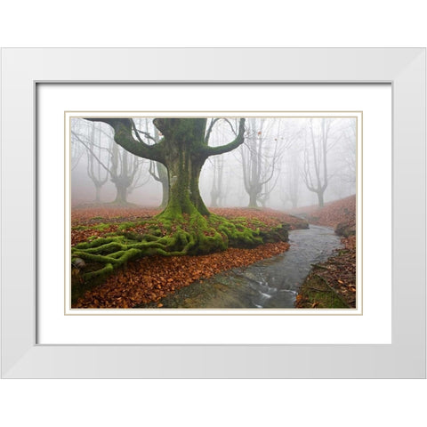 Forest 817 White Modern Wood Framed Art Print with Double Matting by Palacios, J.A.