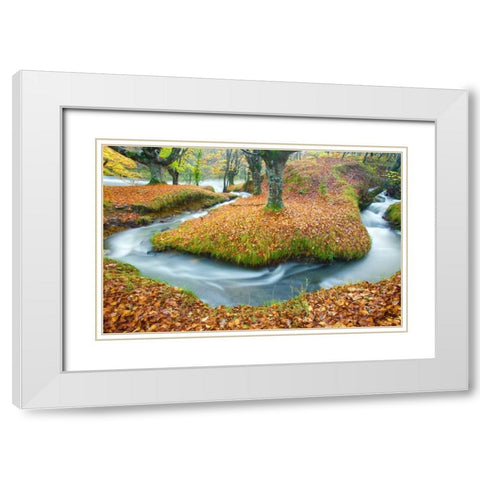 Forest and river 846 White Modern Wood Framed Art Print with Double Matting by Palacios, J.A.