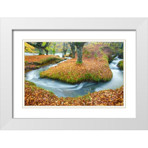 Forest and river 846 White Modern Wood Framed Art Print with Double Matting by Palacios, J.A.