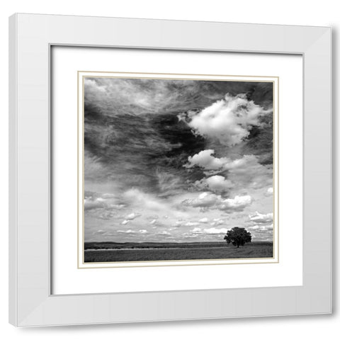 Black and white field 841 White Modern Wood Framed Art Print with Double Matting by Palacios, J.A.