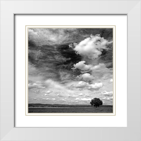 Black and white field 841 White Modern Wood Framed Art Print with Double Matting by Palacios, J.A.