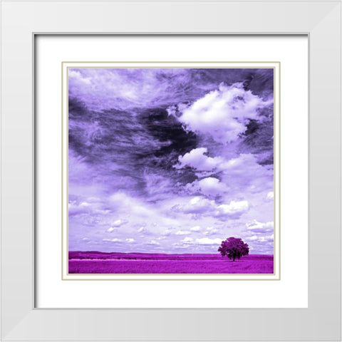 Lilac field 840 White Modern Wood Framed Art Print with Double Matting by Palacios, J.A.