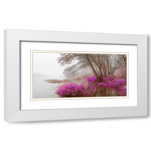 Foggy swamp 838 White Modern Wood Framed Art Print with Double Matting by Palacios, J.A.