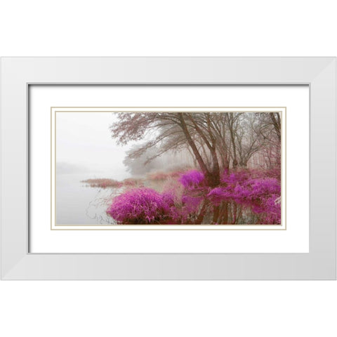 Foggy swamp 838 White Modern Wood Framed Art Print with Double Matting by Palacios, J.A.