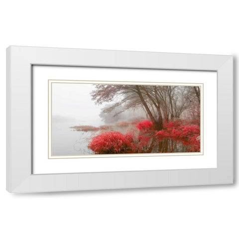 Foggy swamp 837 White Modern Wood Framed Art Print with Double Matting by Palacios, J.A.