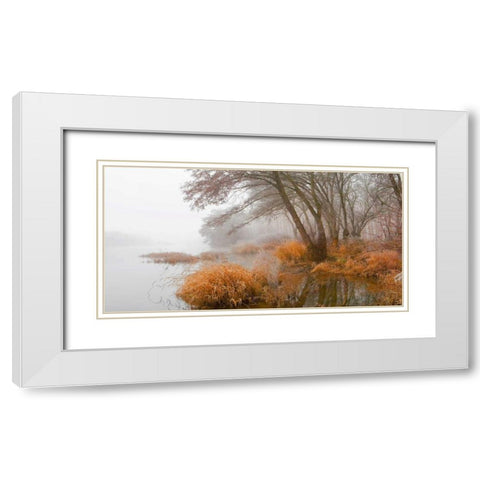 Foggy swamp 836 White Modern Wood Framed Art Print with Double Matting by Palacios, J.A.