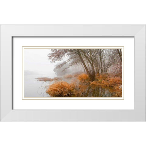 Foggy swamp 836 White Modern Wood Framed Art Print with Double Matting by Palacios, J.A.