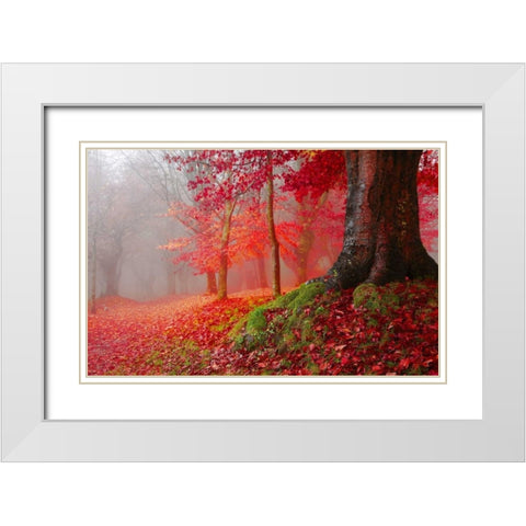 Millennial tree 824 White Modern Wood Framed Art Print with Double Matting by Palacios, J.A.