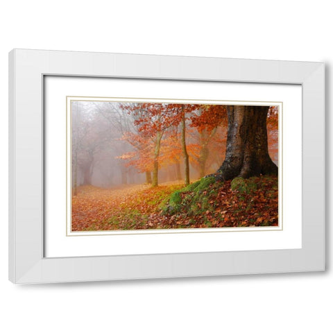 Millennial tree 823 White Modern Wood Framed Art Print with Double Matting by Palacios, J.A.