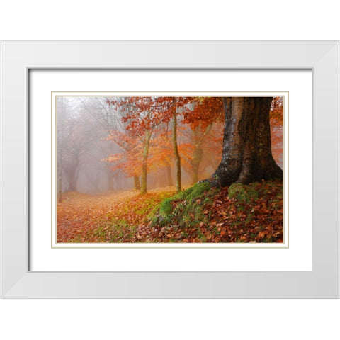 Millennial tree 823 White Modern Wood Framed Art Print with Double Matting by Palacios, J.A.