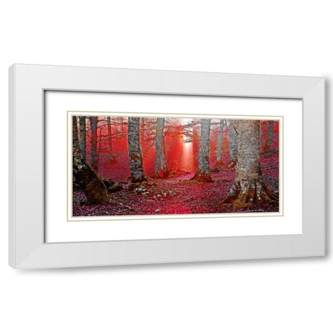 Forest and sunbeam 821 White Modern Wood Framed Art Print with Double Matting by Palacios, J.A.