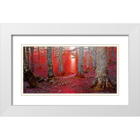 Forest and sunbeam 821 White Modern Wood Framed Art Print with Double Matting by Palacios, J.A.